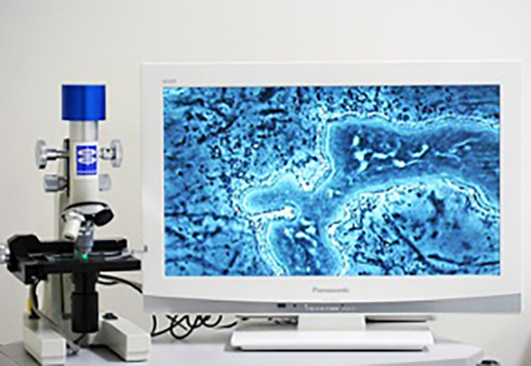 位相差顕微鏡の活用